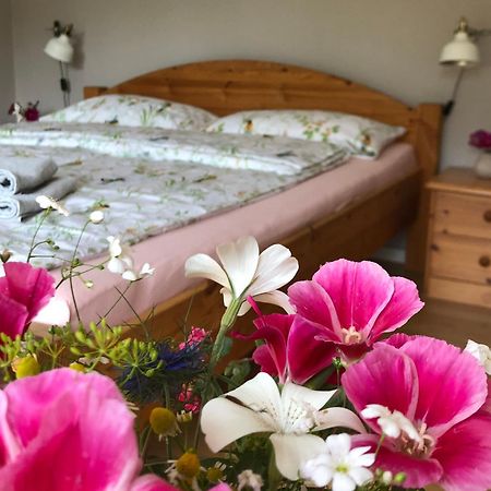 Ferienwohnung Elbsegler Bleckede Esterno foto