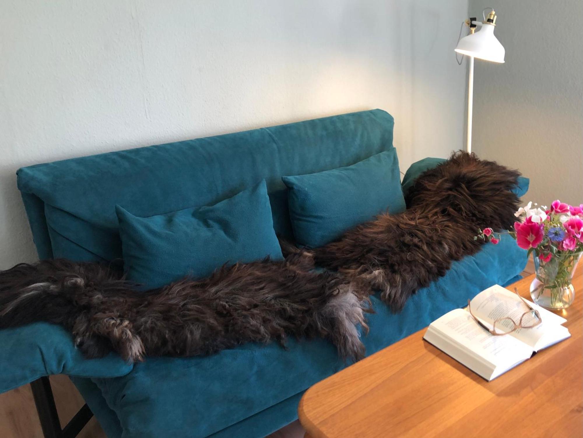 Ferienwohnung Elbsegler Bleckede Esterno foto